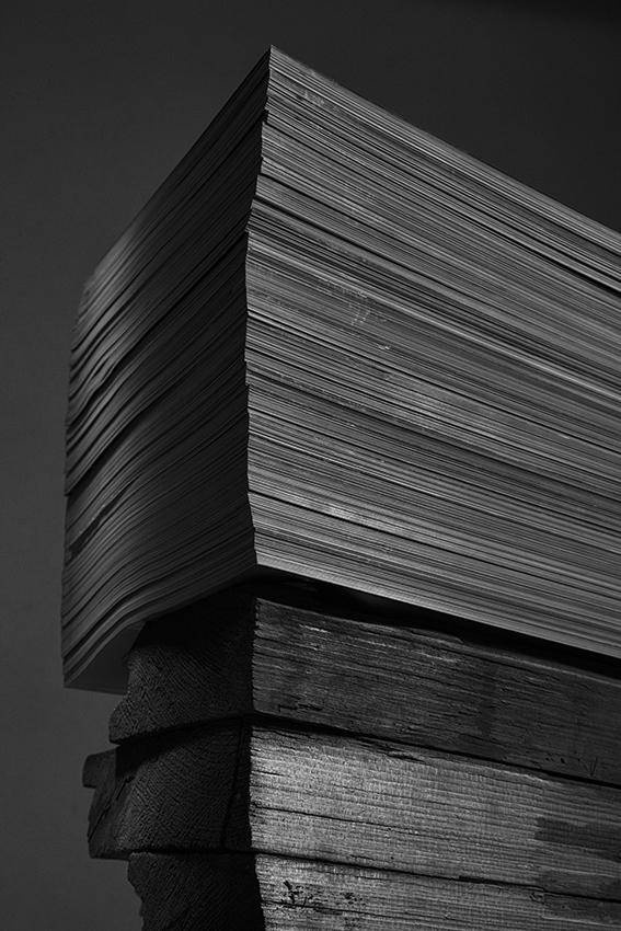 2013г. Стопка журналов-годовая подписка, дерево