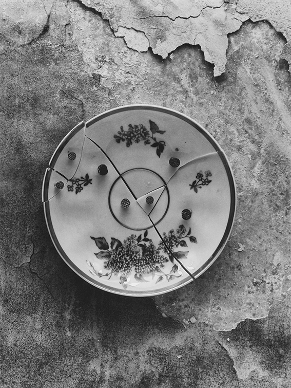 2004г. Прибитая тарелка. Ч/Б негатив. Без PS