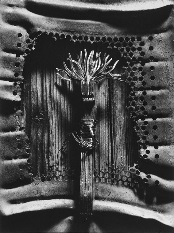 2006г.ч/б негатив