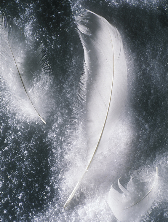 1999-2000г. Слайд