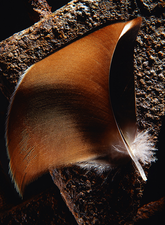 1999-2000г. Слайд