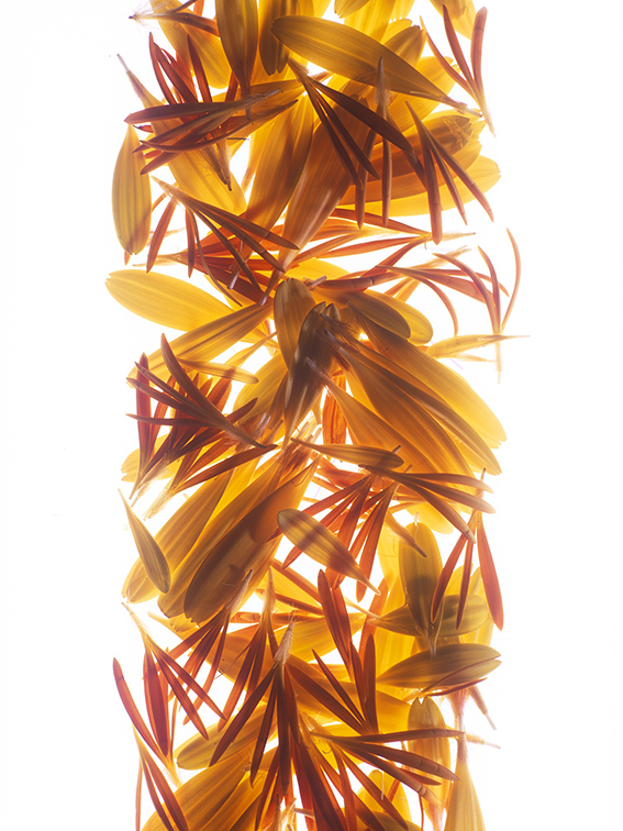 слайд Velvia. 2002 г.