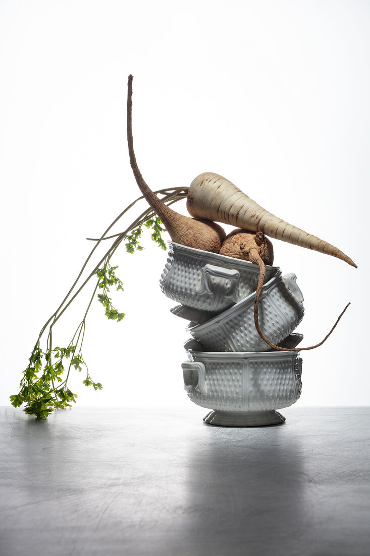 Variety of root vegetables. Healthy food. Natural fresh herbs and spice on a white background and metalic table. Still life with fresh homegrown root vegetables, harvest time. Spotlight. Art food photography. Balancing food. Shallow depth of field.