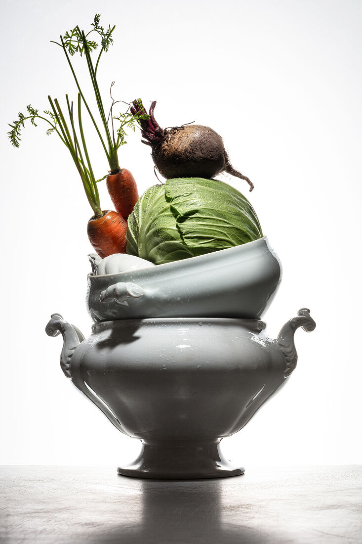 Variety of root vegetables. Healthy food. Natural fresh herbs and spice on a white background and metalic table. Still life with fresh homegrown root vegetables, harvest time. Spotlight. Art food photography. Balancing food. Shallow depth of field.