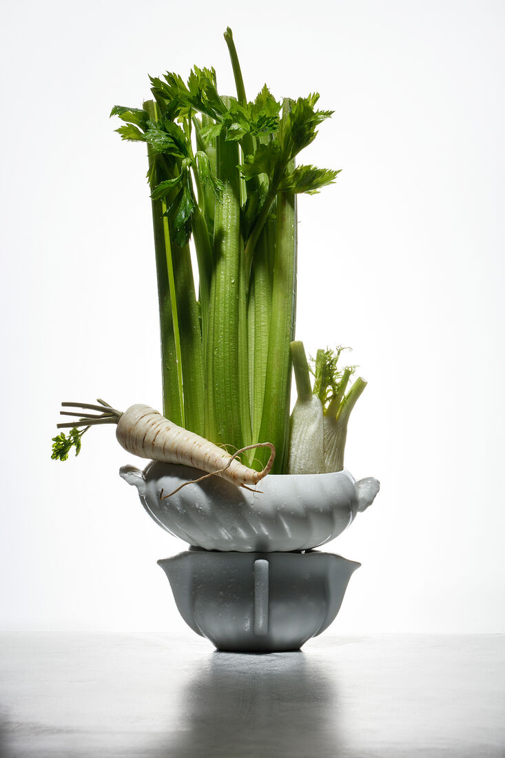 Variety of root vegetables. Healthy food. Natural fresh herbs and spice on a white background and metalic table. Still life with fresh homegrown root vegetables, harvest time. Spotlight. Art food photography. Balancing food. Shallow depth of field.