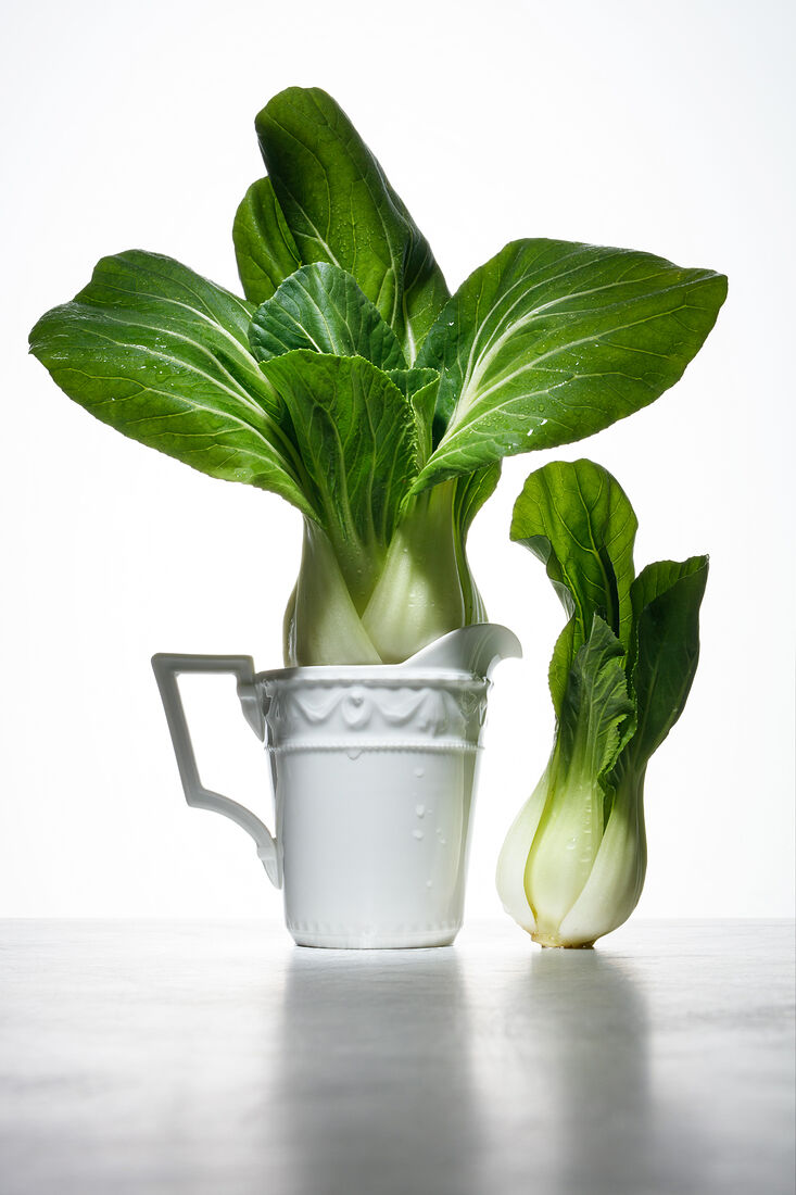 Variety of root vegetables. Healthy food. Natural fresh herbs and spice on a white background and metalic table. Still life with fresh homegrown root vegetables, harvest time. Spotlight. Art food photography. Balancing food. Shallow depth of field.